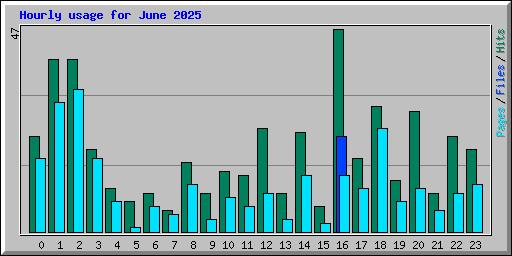 Hourly usage for June 2025